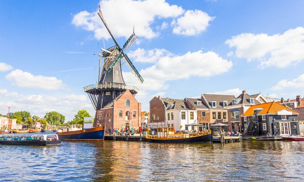 Expat Guide: Thriving in Dutch Cities