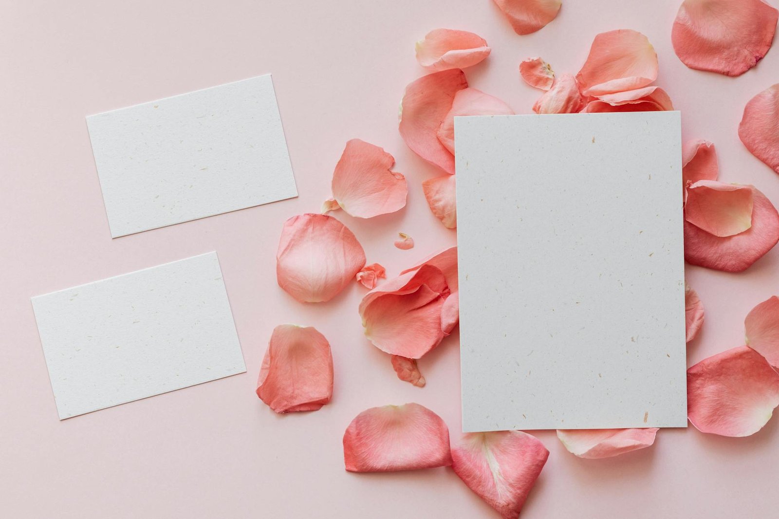 Top view of roses petals in shape of circle under sheet of paper and two sheets of paper placed near on left side on pink surface